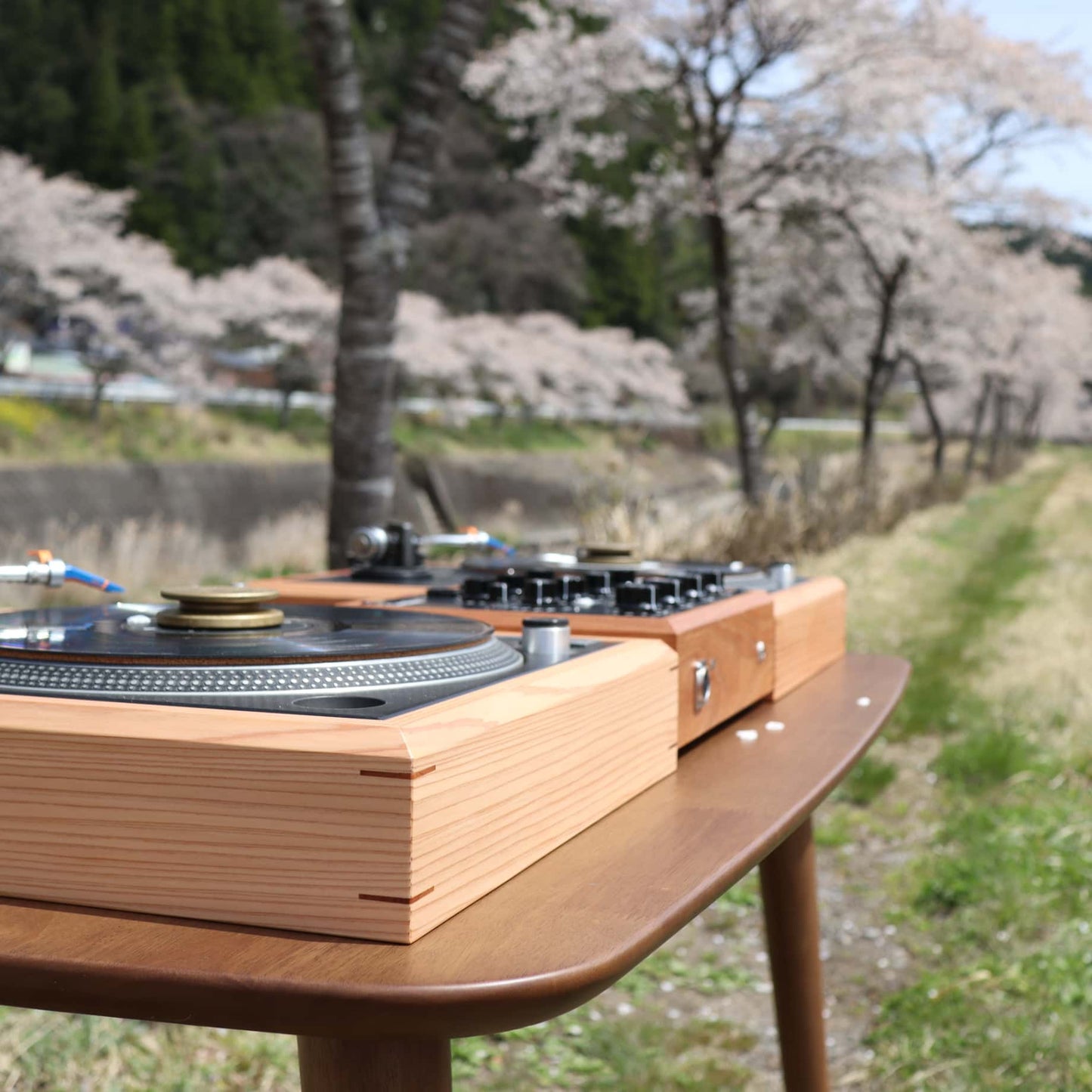 Turntable with Cherry Blossom